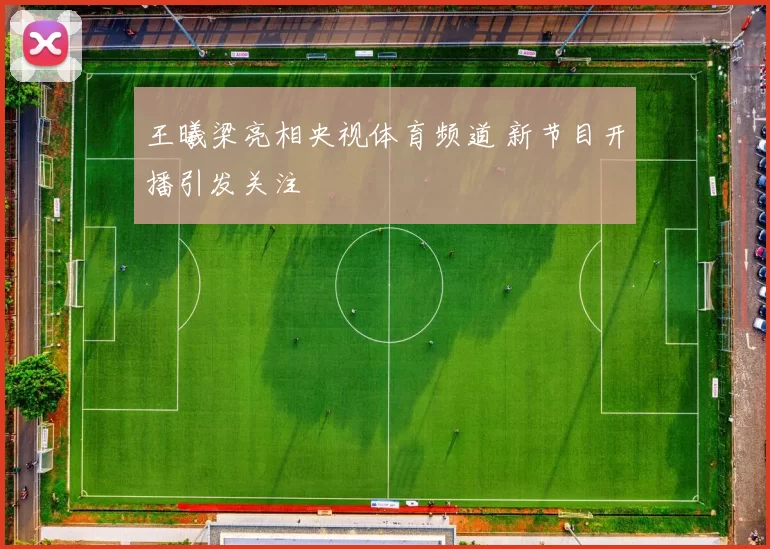 王曦梁亮相央视体育频道 新节目开播引发关注