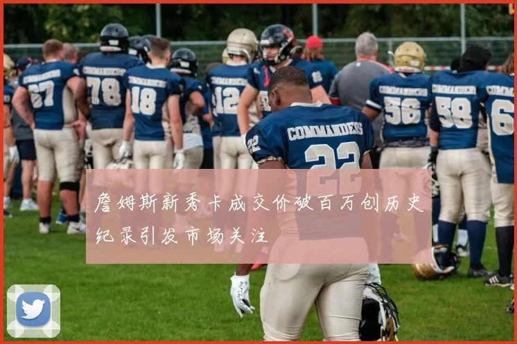 詹姆斯新秀卡成交价破百万创历史纪录引发市场关注