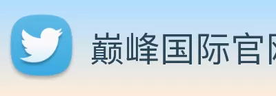 巅峰国际官网 - 追求健康，你我一起成长 Logo